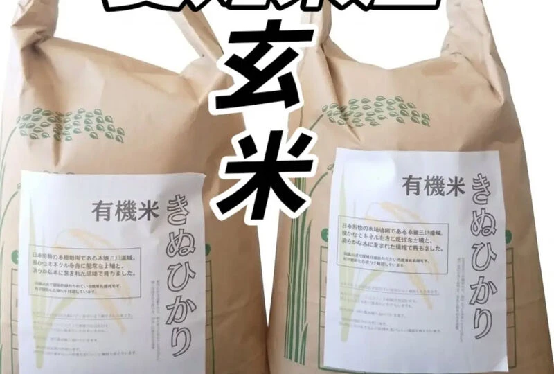 画像19107：愛知県産有機きぬひかりを入荷しました🌾